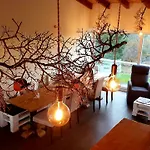 Natura Glamping * Alcongosta