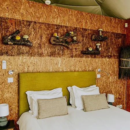 Natura Glamping Alcongosta