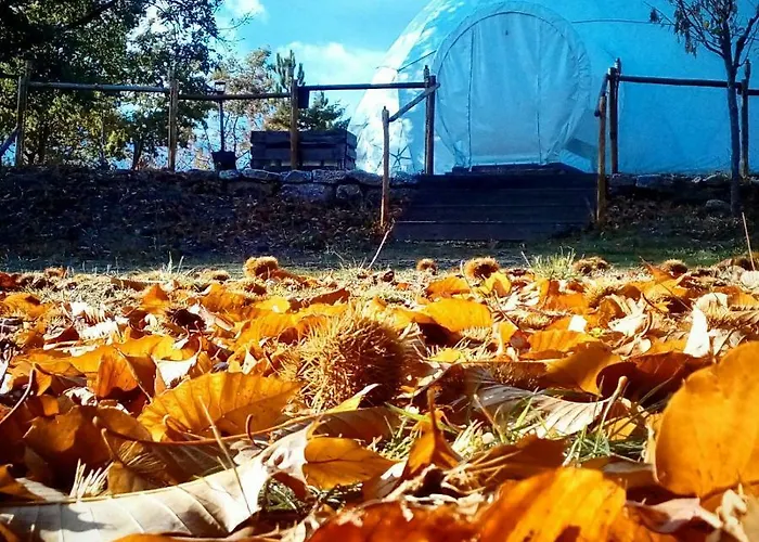 Campismo de Luxo Natura Glamping